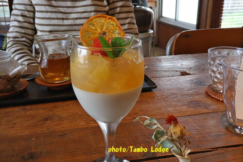 おいしい薬膳「白牡丹」で椿の花の天婦羅のランチ