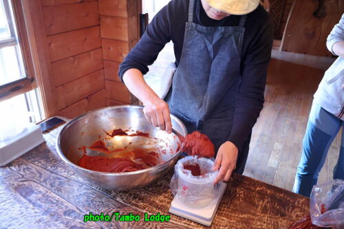 ２０２６年本格手作りコチュジャンのワークショップ＆桜の花見🌸