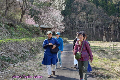 ２０２６年本格手作りコチュジャンのワークショップ＆桜の花見🌸