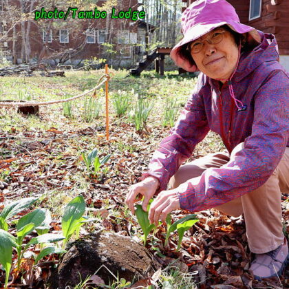行者ニンニク餃子、最高です