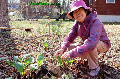行者ニンニク餃子、最高です