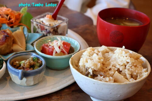 鹿沼の自然食レストラン「Matsu 松」で春のランチをいただく