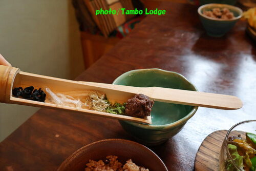 日光二荒山神社の舞の奉納と自然食レストラン「Azconexion」