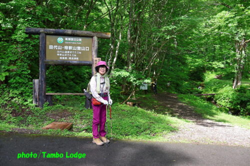 久しぶりの登山、初夏の花咲く田代山に登る