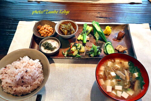 秋田大湯温泉、ヴィーガン料理の宿「yuzaka」への旅